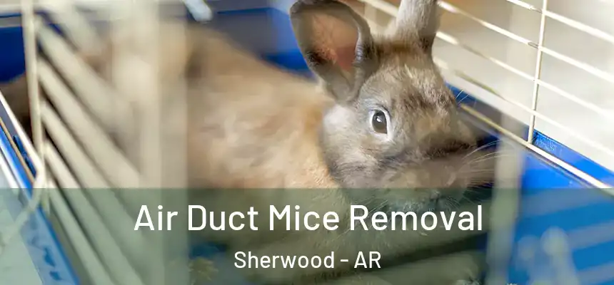 Air Duct Mice Removal Sherwood - AR