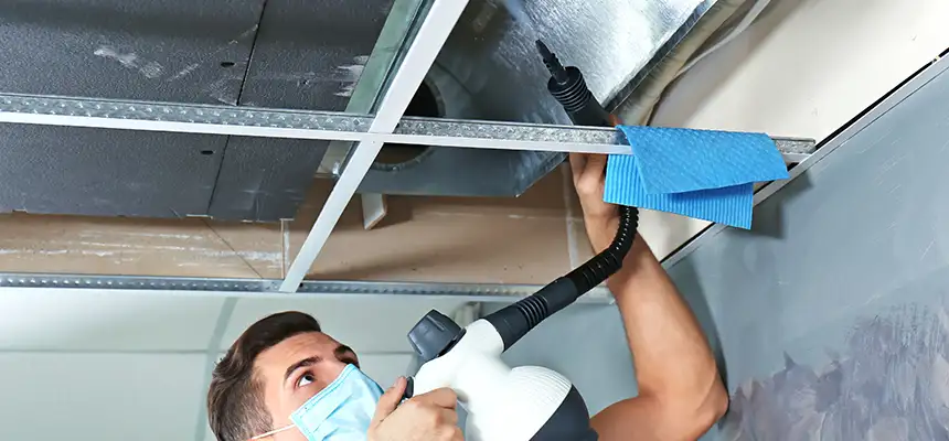 Our Air Duct Rodent Removal Services in Sherwood, AR