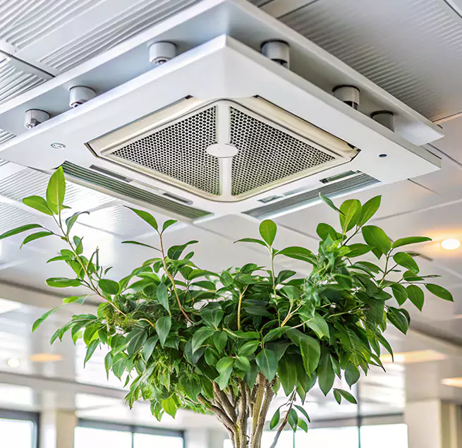 Why Homeowners & Businesses Trust Us in Sherwood, AR?